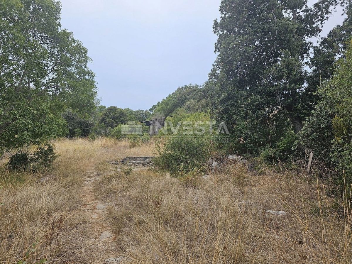 Barbariga, velika gradbena parcela 1.236 m²
