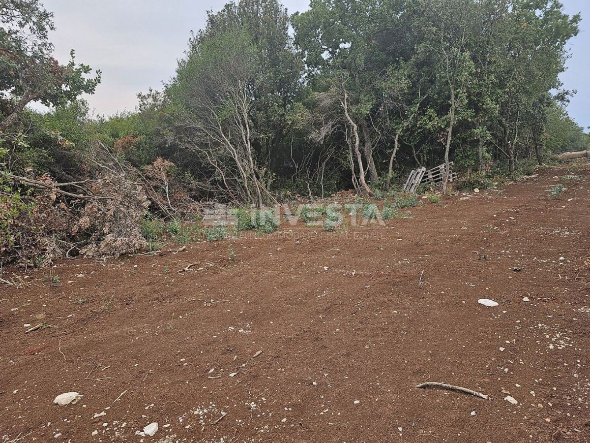 Barbariga, velika gradbena parcela 1.236 m²