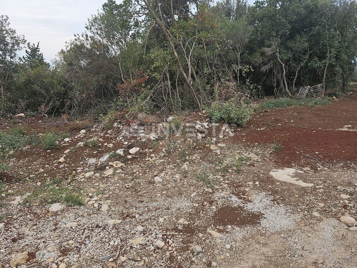 Barbariga, velika gradbena parcela 1.236 m²