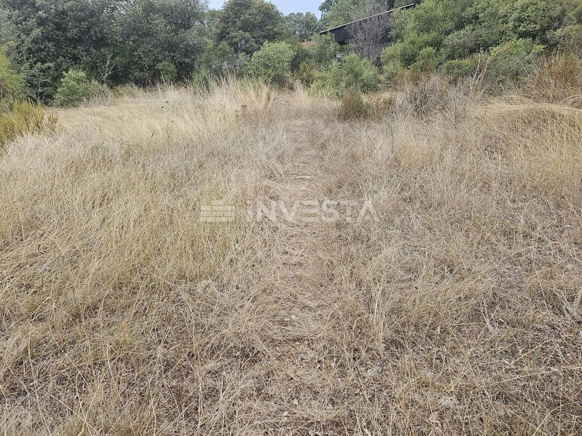 Barbariga, velika gradbena parcela 1.236 m²
