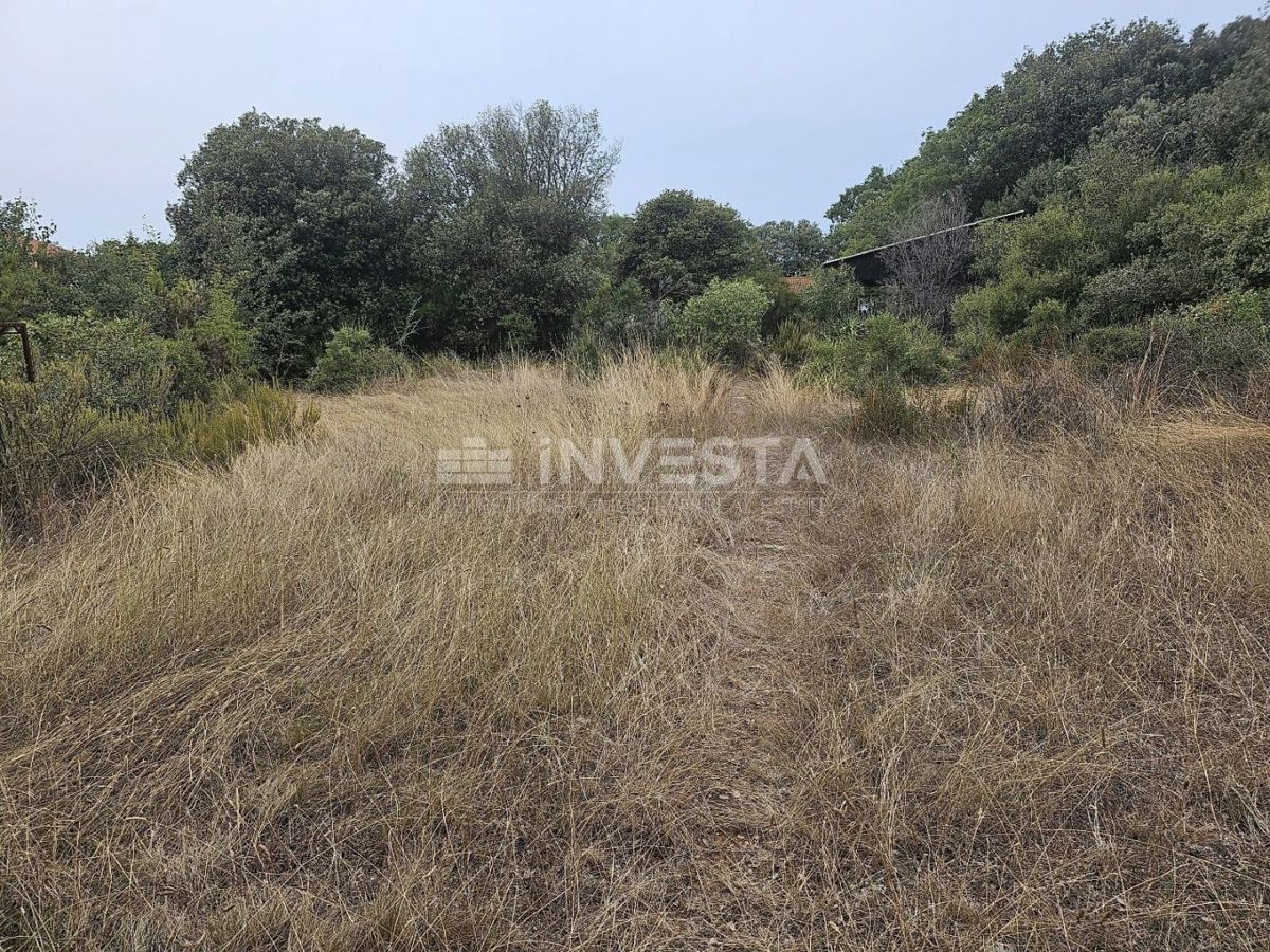 Barbariga, velika gradbena parcela 1.236 m²