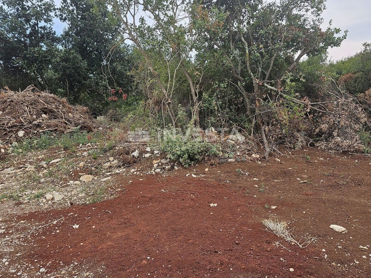 Barbariga, velika gradbena parcela 1.236 m²