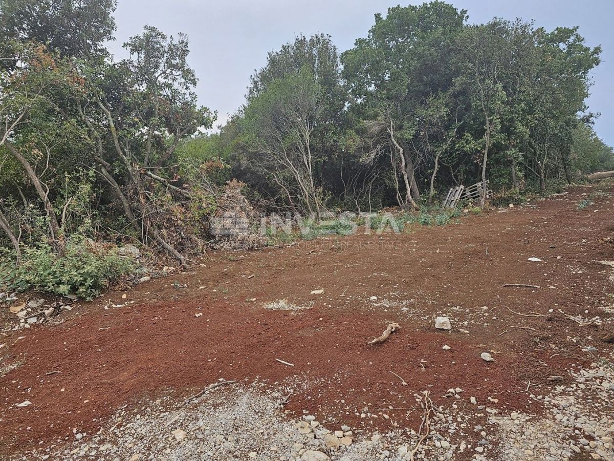 Barbariga, velika gradbena parcela 1.236 m²