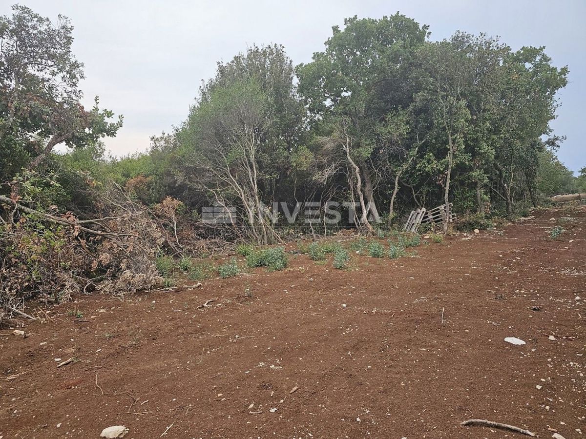 Barbariga, velika gradbena parcela 1.236 m²