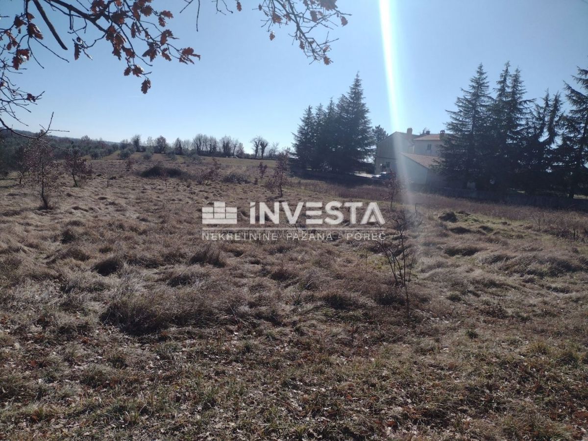 Okolica Višnjana, gradbeno zemljišče 5.000 m2