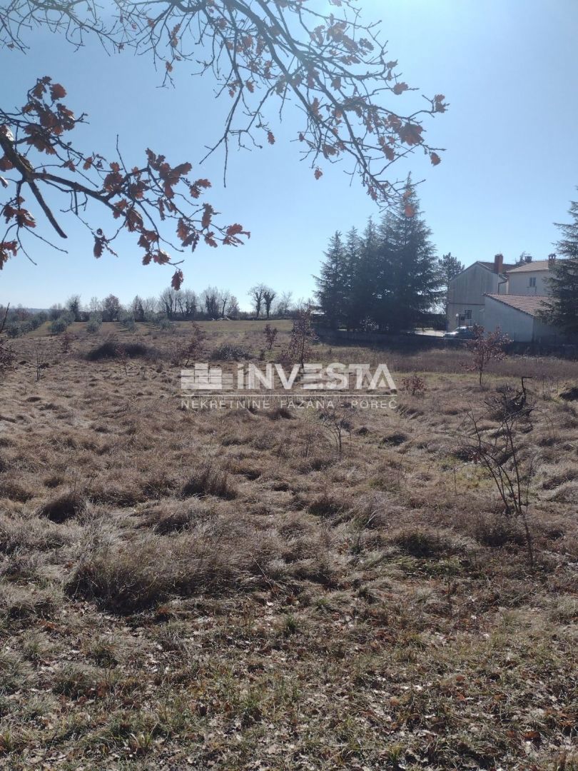 Okolica Višnjana, gradbeno zemljišče 5.000 m2