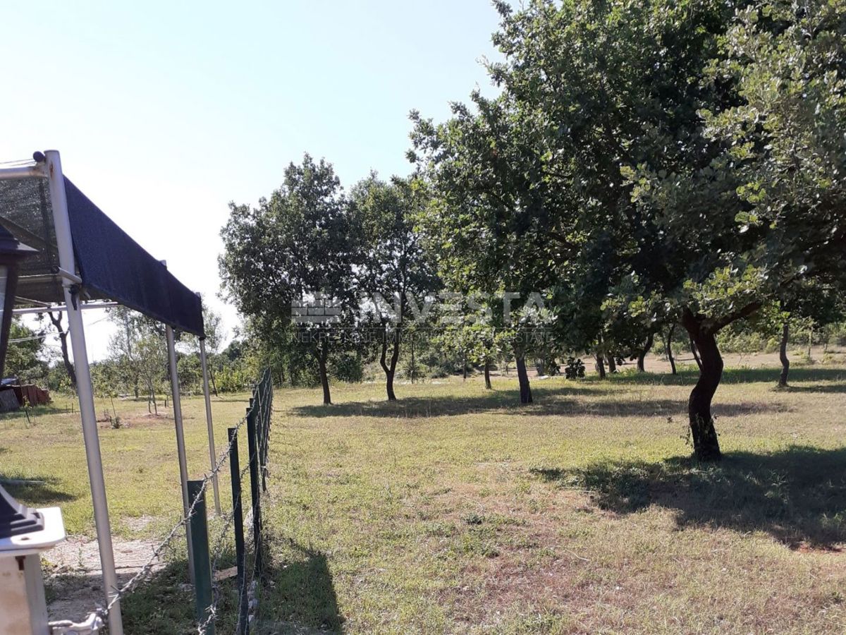 Kmetijsko zemljišče v bližini Barbarige