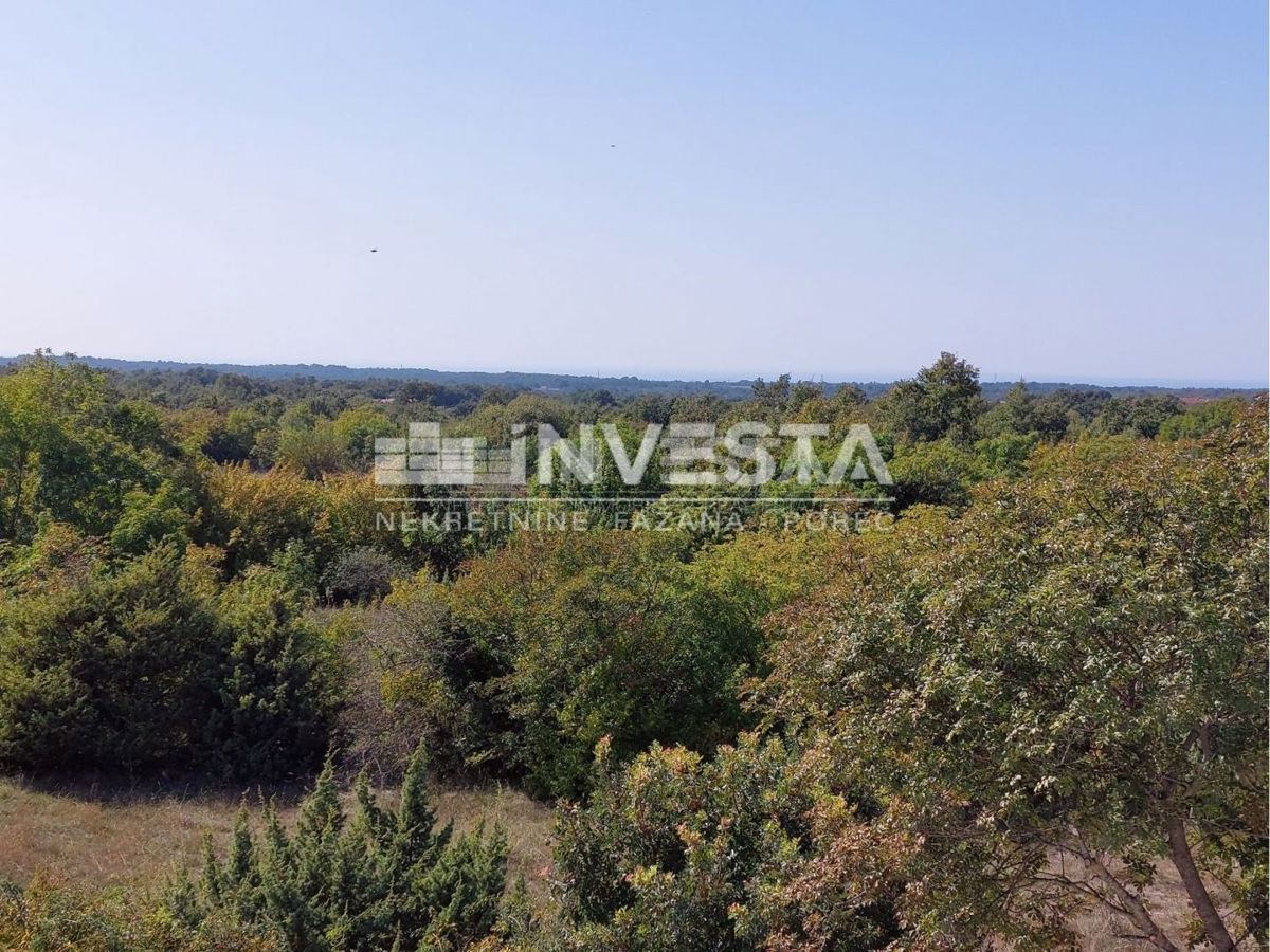 Okolica Svetvinčenta, čudovita rustikalna vila z bazenom 155 m2, 4 spalnice