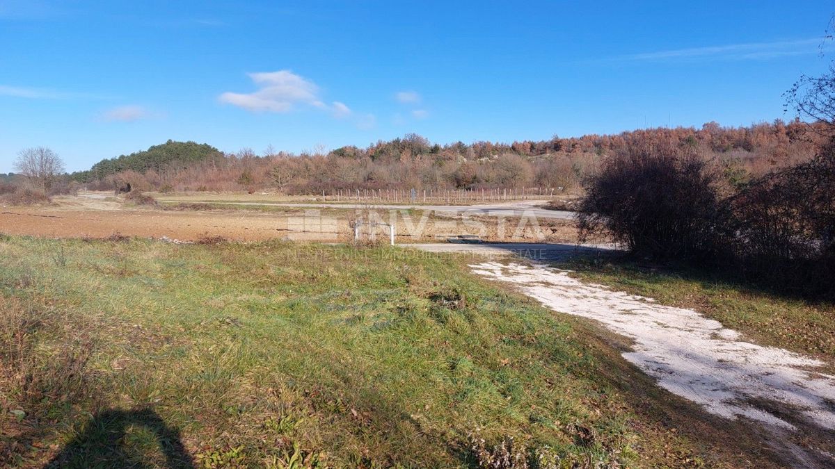 Okolica Gračišća, avtohtona istrska hiša s prostornim zemljiščem