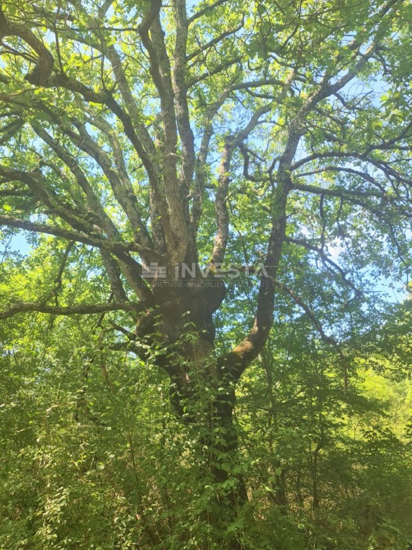 Zemljišča različnih namenov na mirni lokaciji, 2 km od morja.