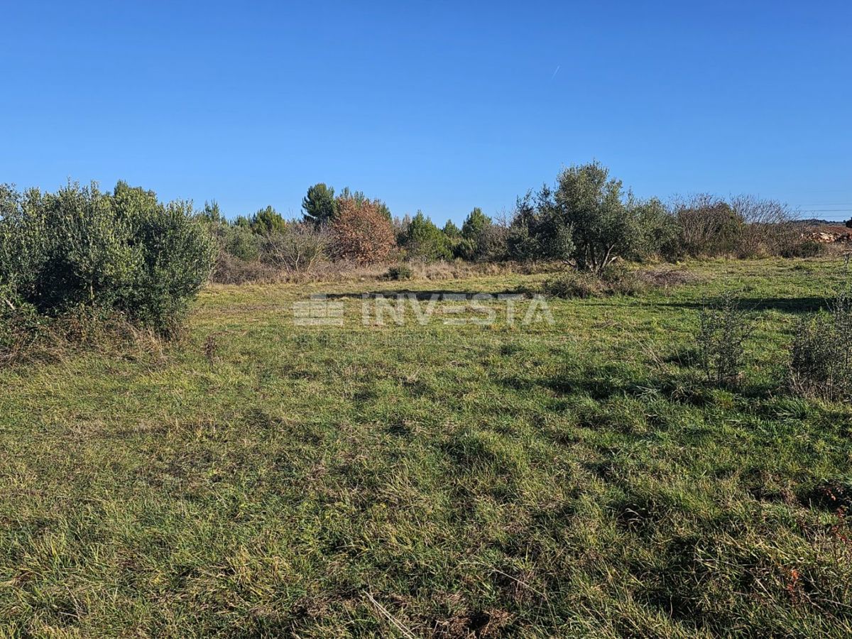 Fažana, kmetijska zemljišča 1 km od morja