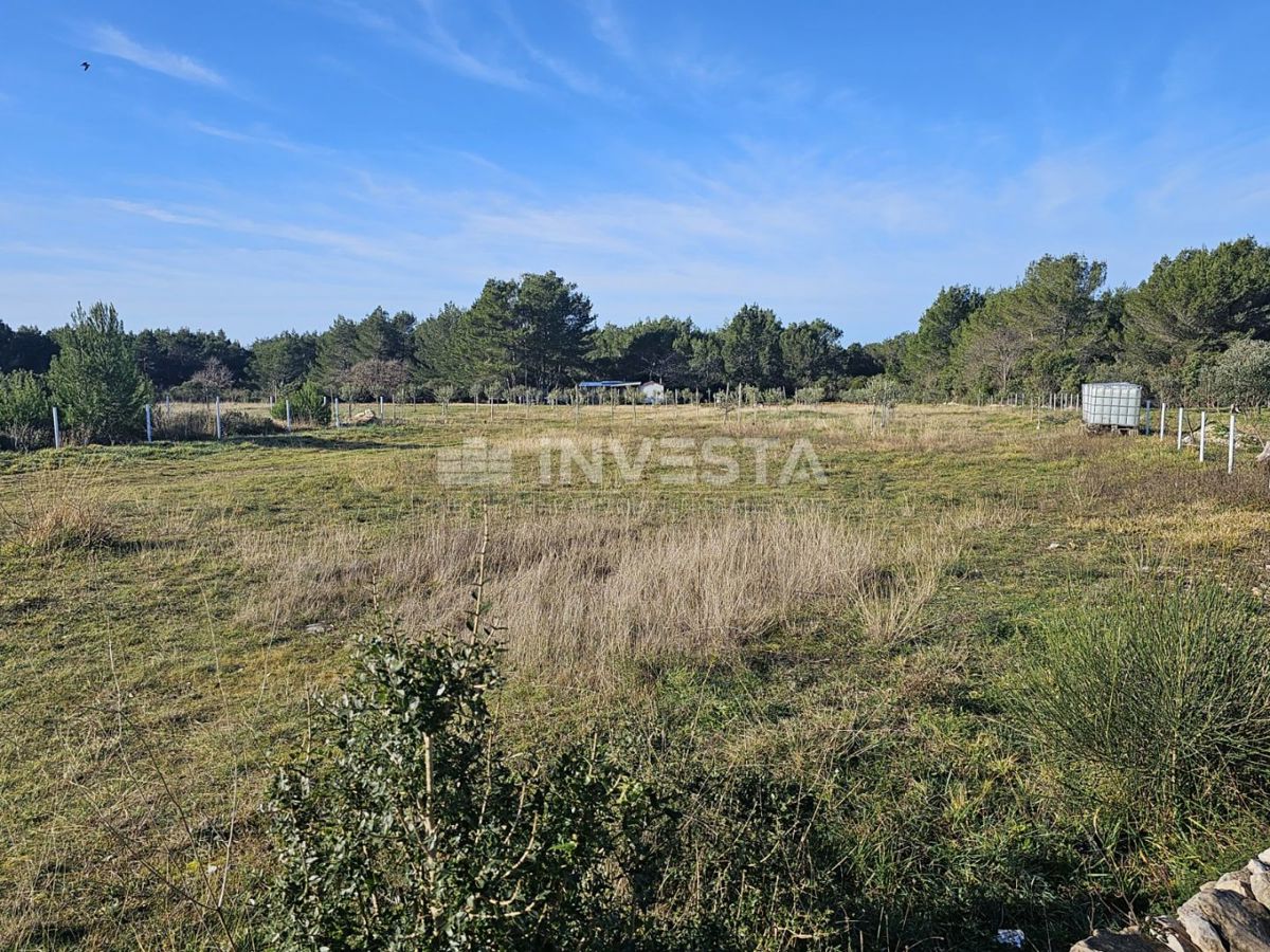 Fažana, kmetijska zemljišča 1 km od morja