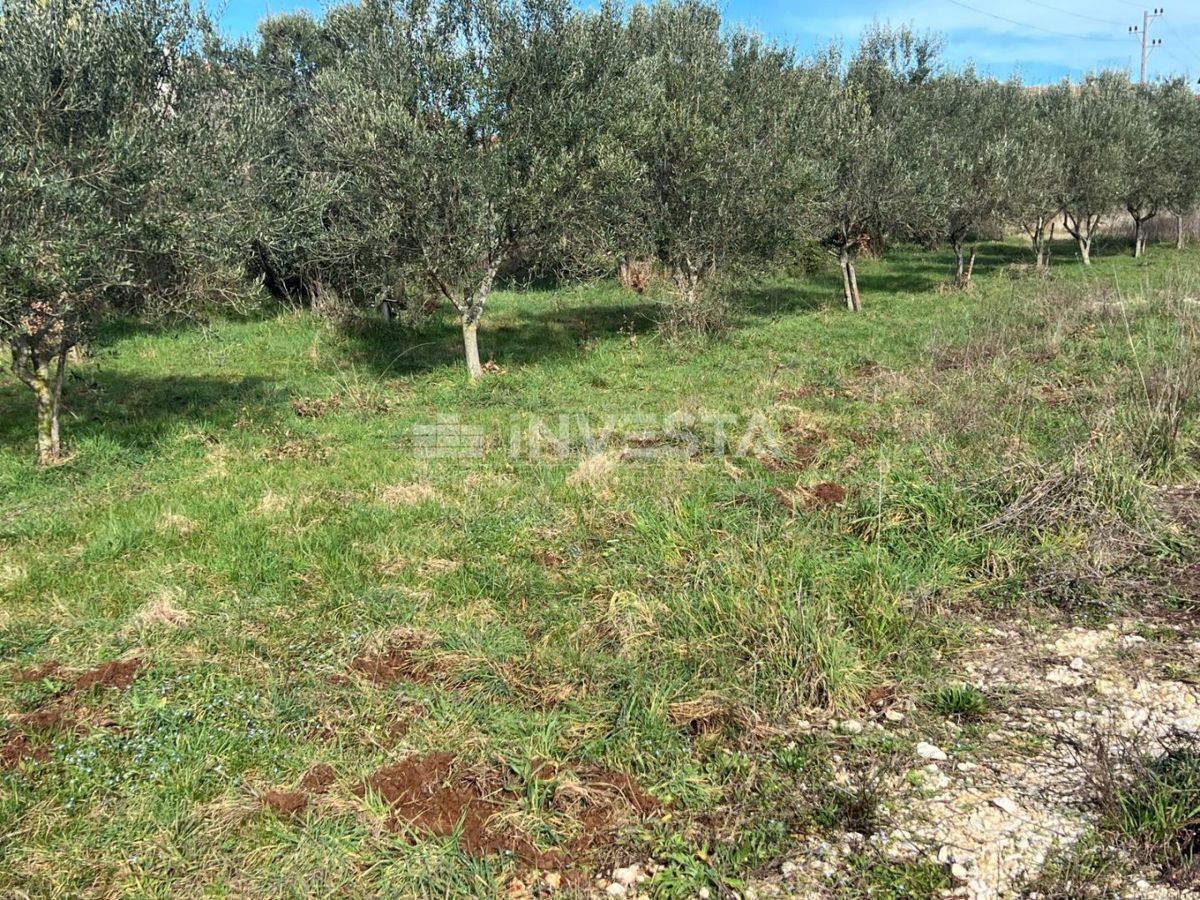 Zazidljivo zemljišče, mirna lokacija za vaš novi dom