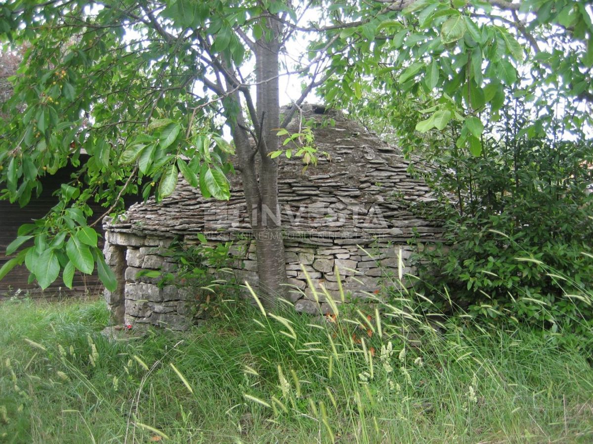 Peroj, zemljišče s kažunom blizu morja