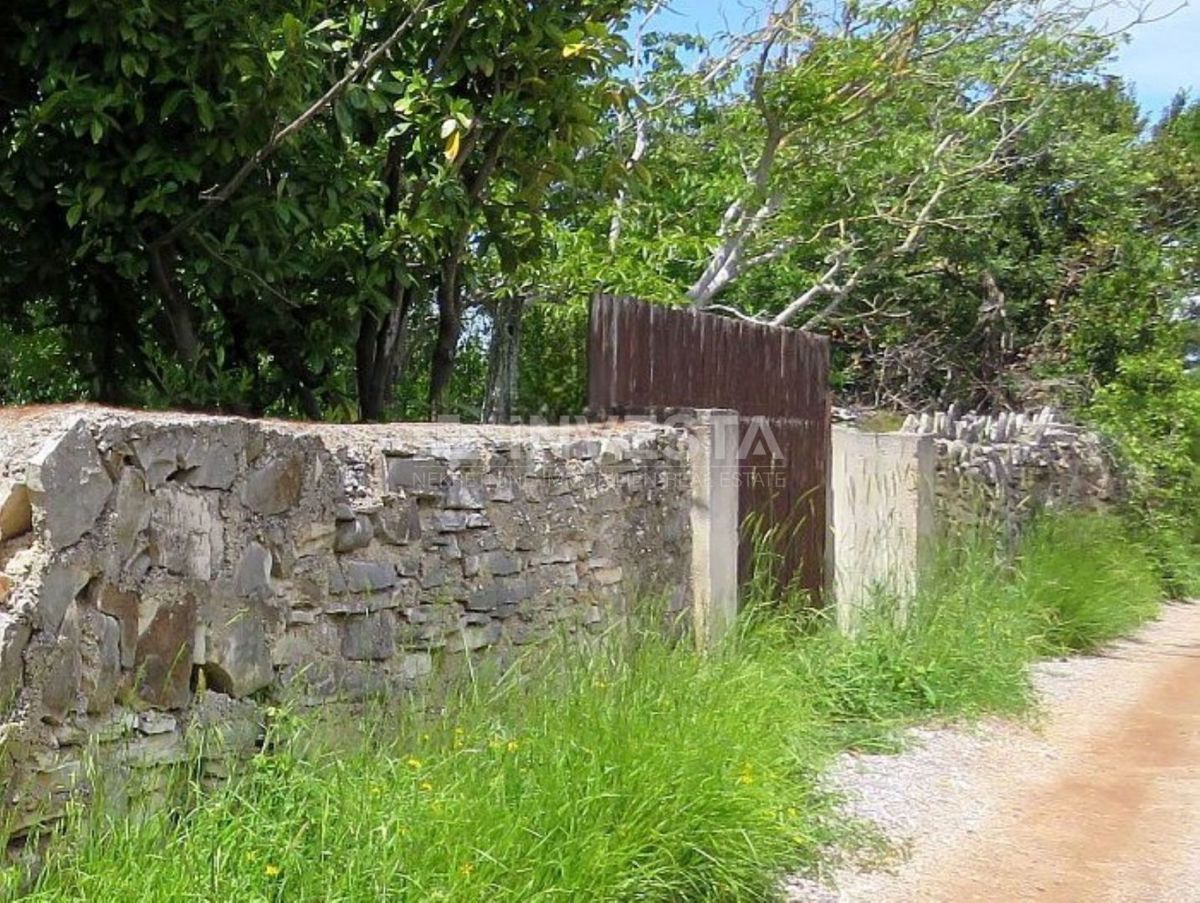 Peroj, zemljišče s kažunom blizu morja