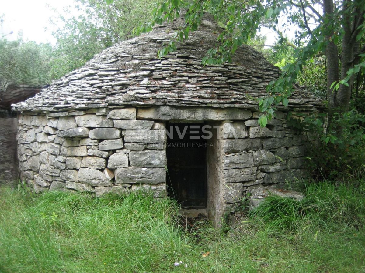 Peroj, zemljišče s kažunom blizu morja