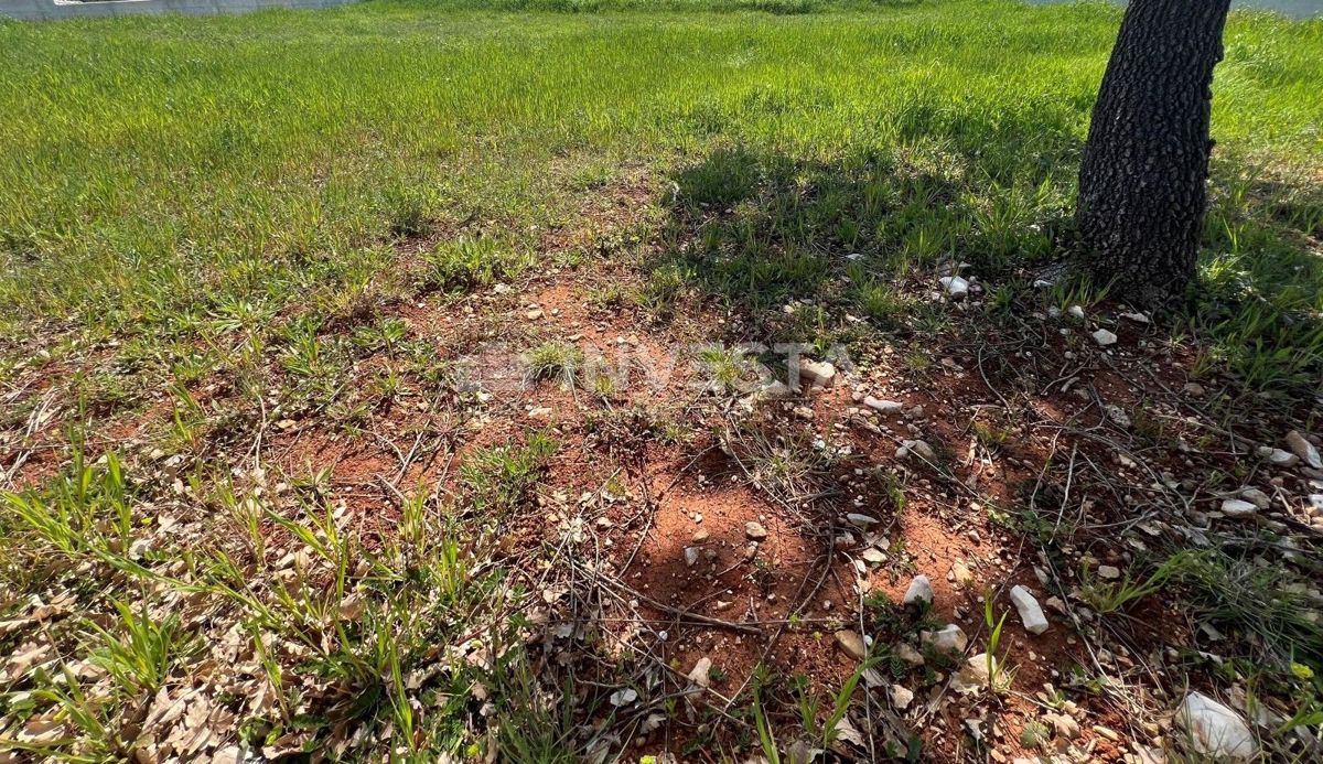 Vodnjan, Galižana, Gradbena parcela, 1000m²