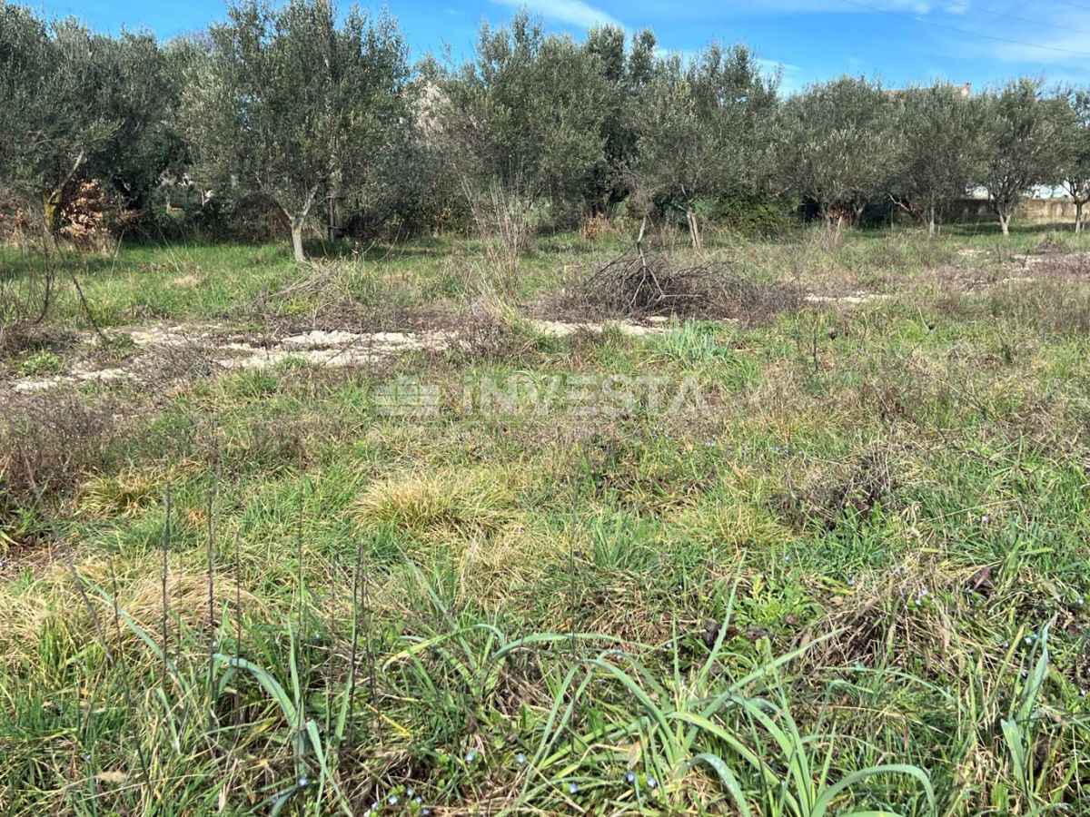 Gradbena parcela v mirni in zaželeni coni