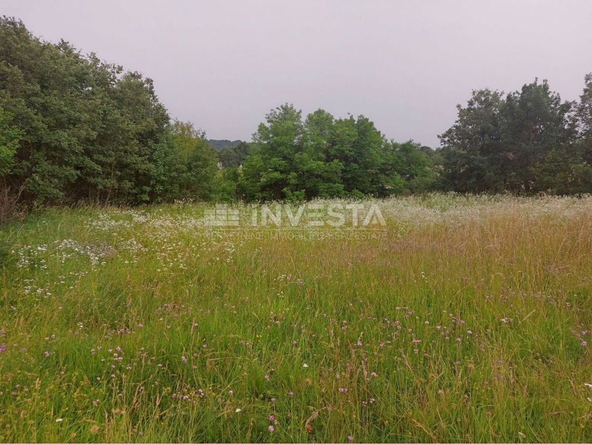 Tinjan, Gradbena Zemljišča 3197 m² + 971 m² Kmetijska Zemljišča