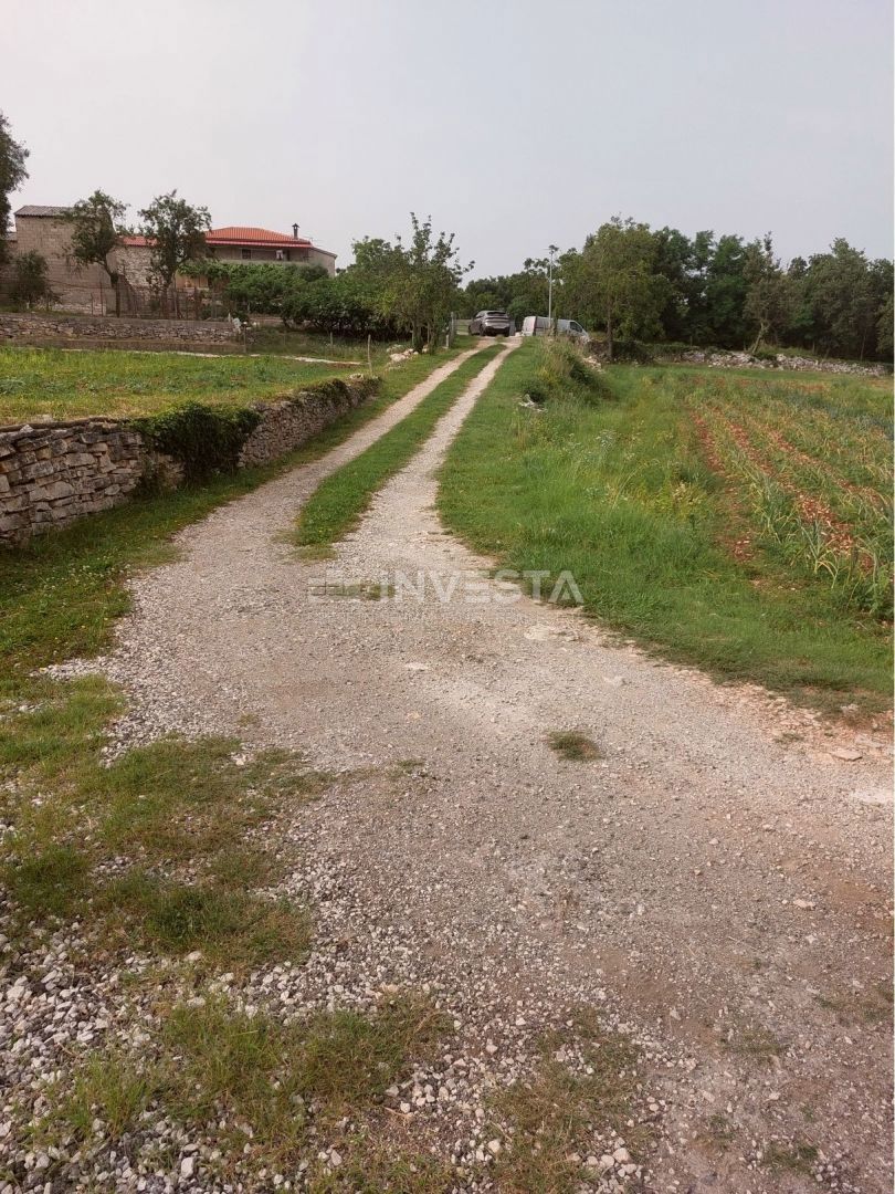 Tinjan, Gradbena Zemljišča 3197 m² + 971 m² Kmetijska Zemljišča