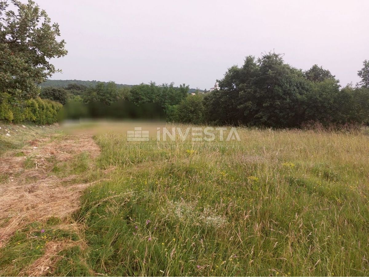 Tinjan, Gradbena Zemljišča 3197 m² + 971 m² Kmetijska Zemljišča