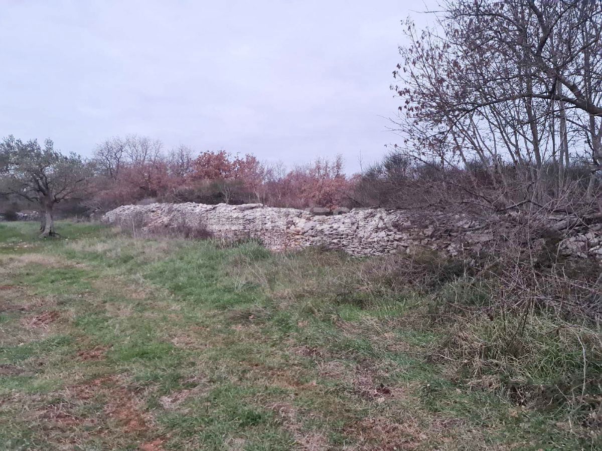 Zemljišče Vodnjan, 4.900m2