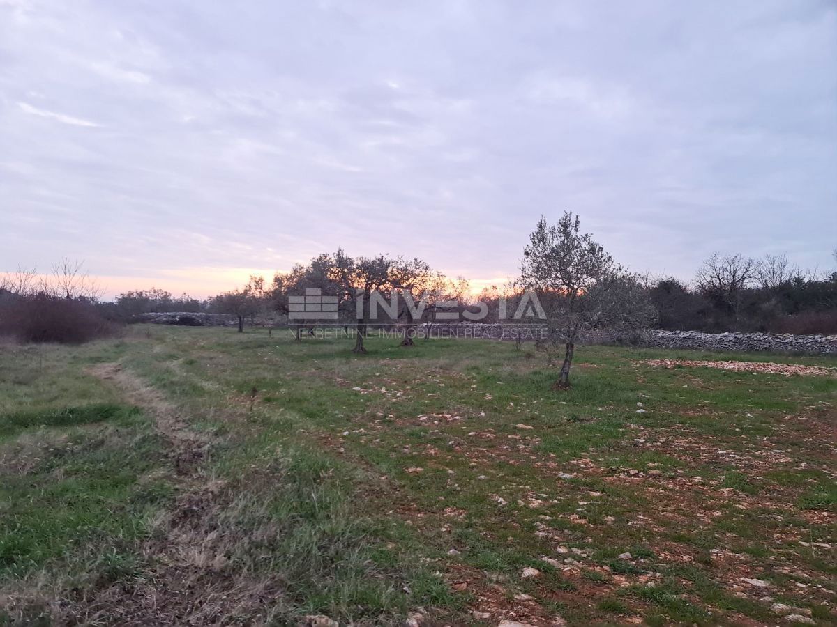 Zemljišče Vodnjan, 4.900m2