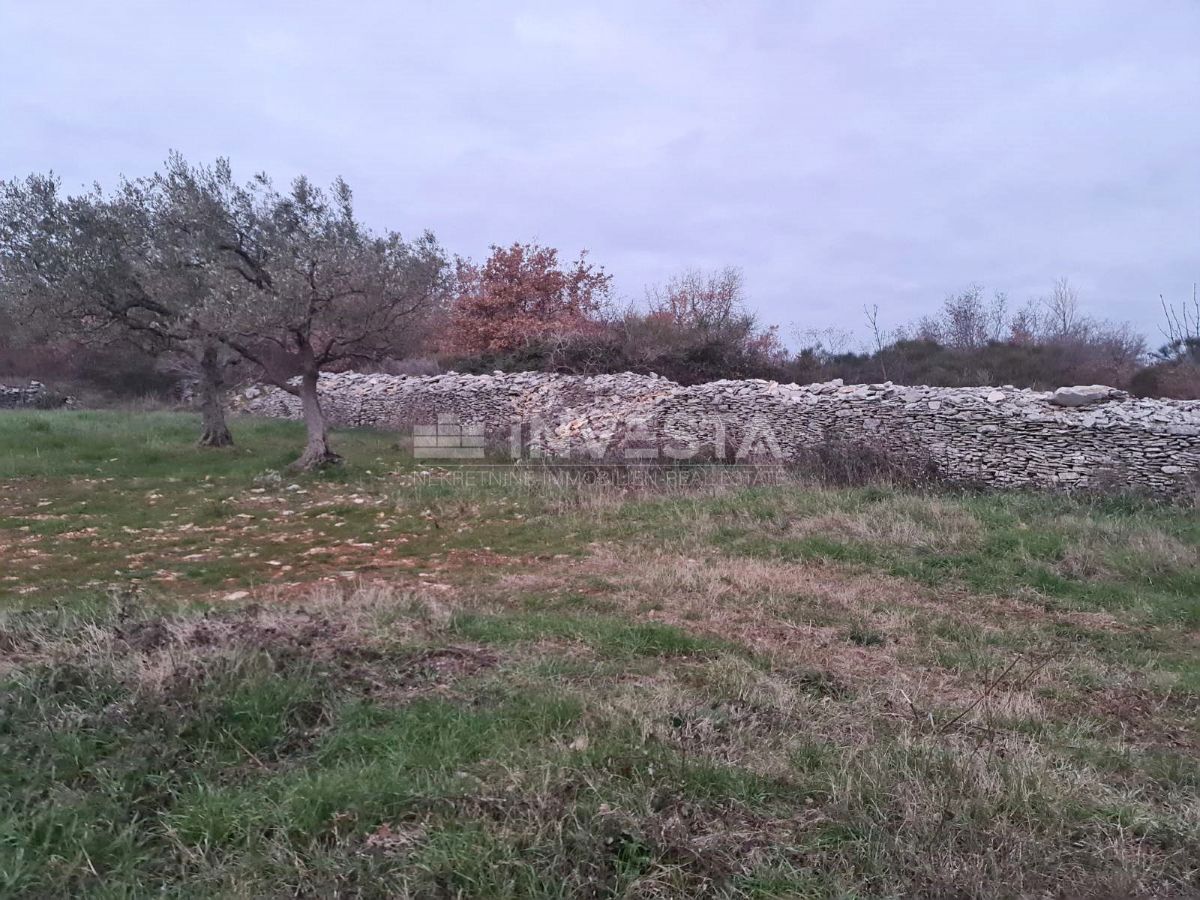 Zemljišče Vodnjan, 4.900m2