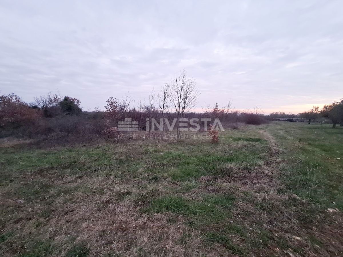 Zemljišče Vodnjan, 4.900m2