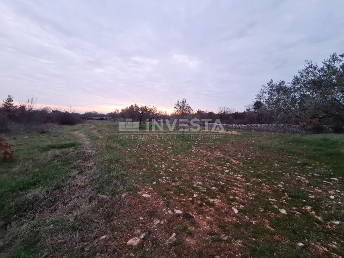 Zemljišče Vodnjan, 4.900m2