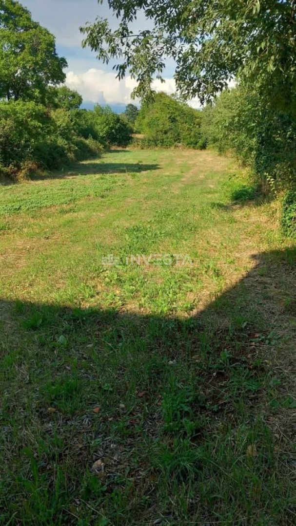 Zemljišče Svetvinčenat, 1.000m2