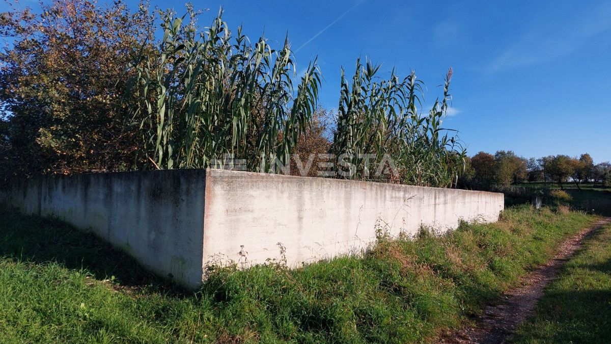 Gradbeno zemljišče v Taru