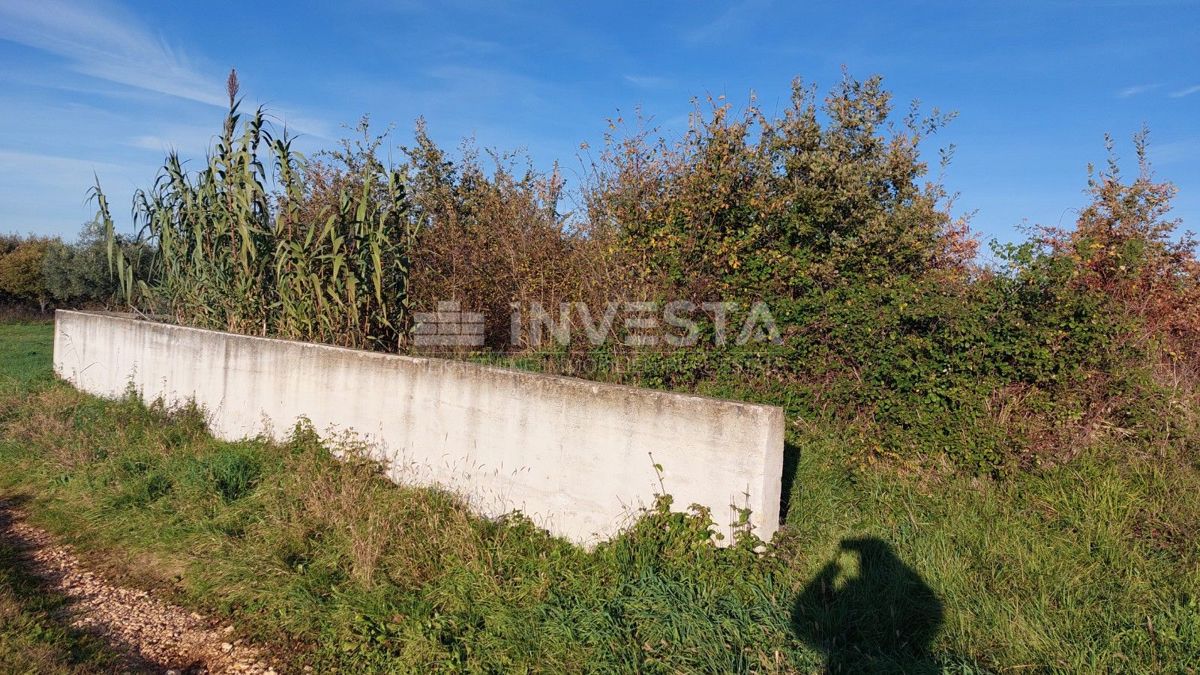 Gradbeno zemljišče v Taru