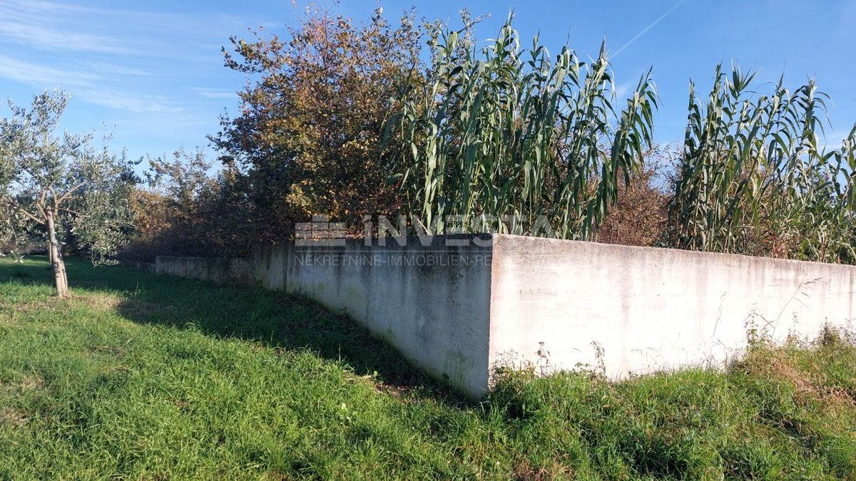 Gradbeno zemljišče v Taru