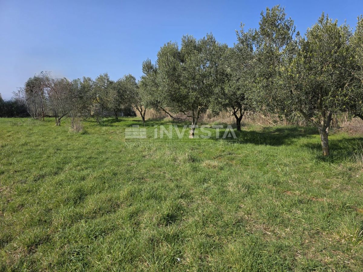 Zemljišče Fažana, 2.580m2