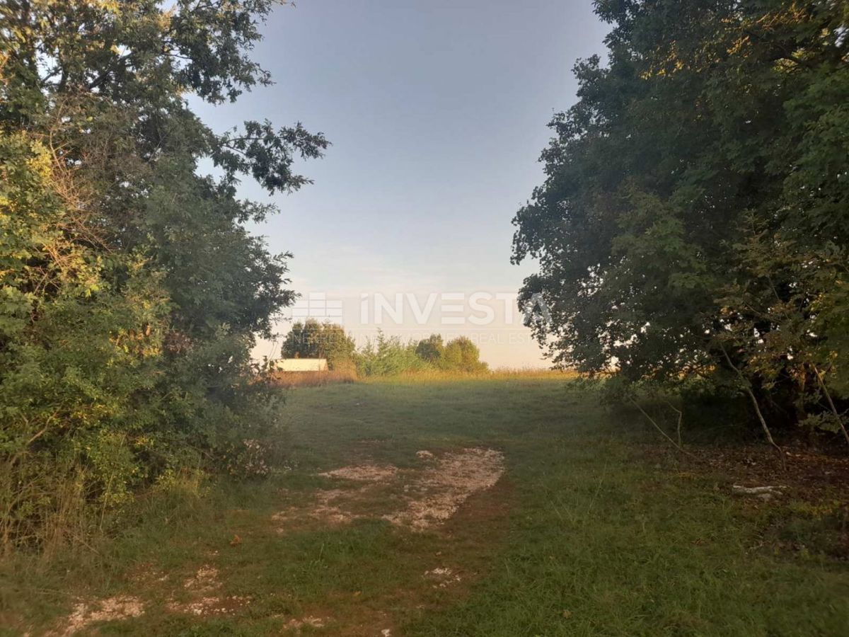 Svetvinčenat, ekološka posest 2.158 m² v srcu Istre