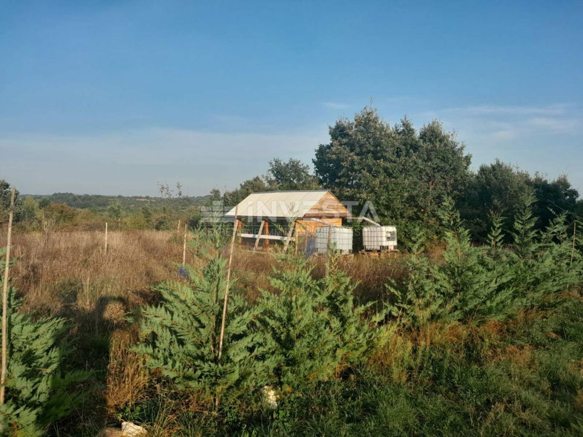 Svetvinčenat, ekološka posest 2.158 m² v srcu Istre