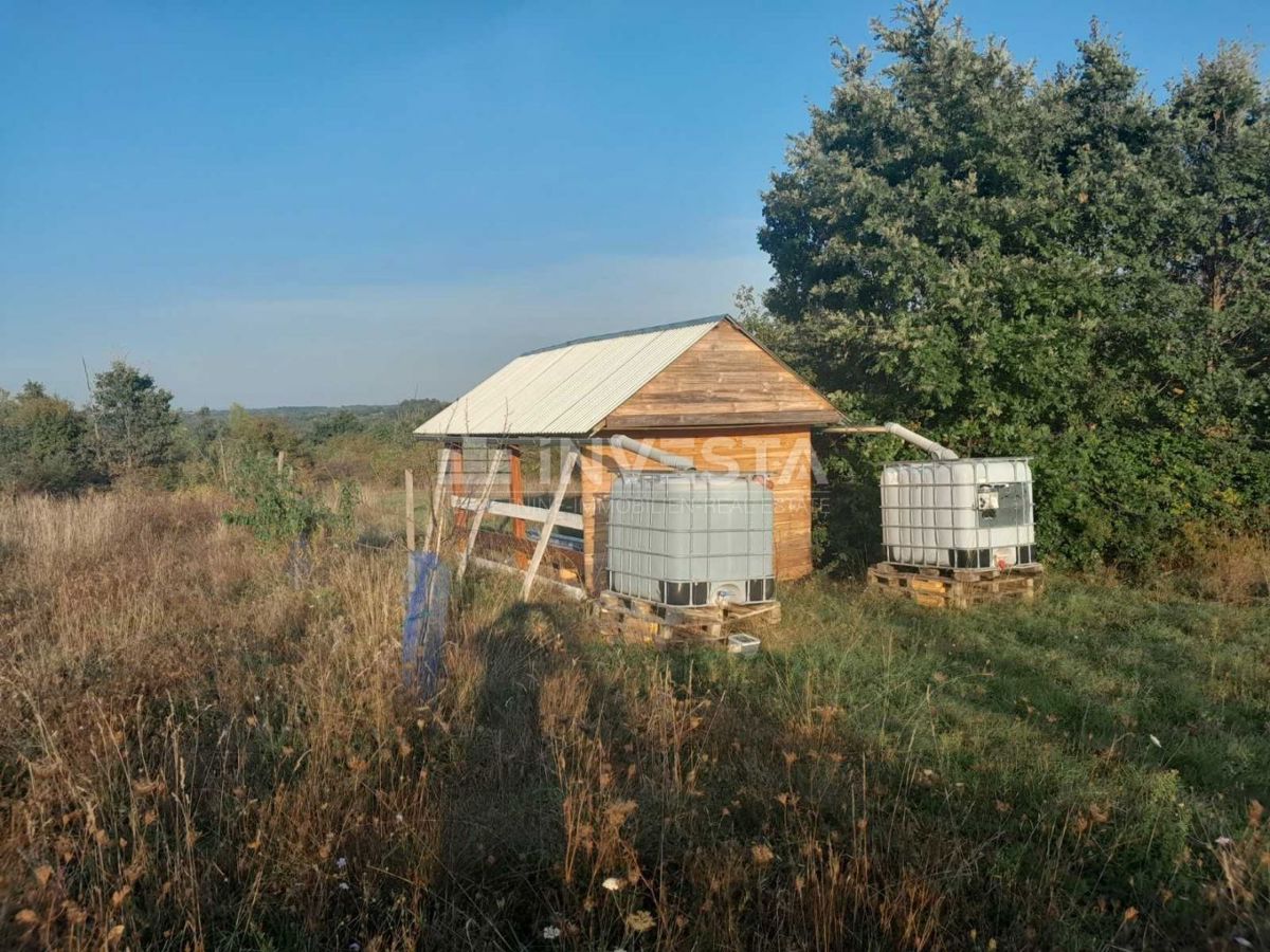 Svetvinčenat, ekološka posest 2.158 m² v srcu Istre