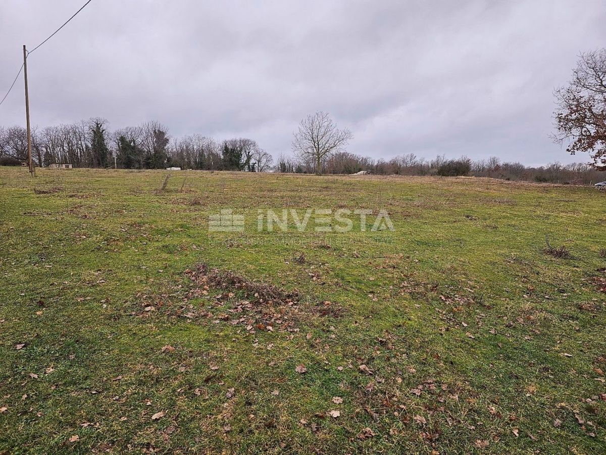 Žminj, zazidljiva parcela 6.186 m2, odlična lokacija