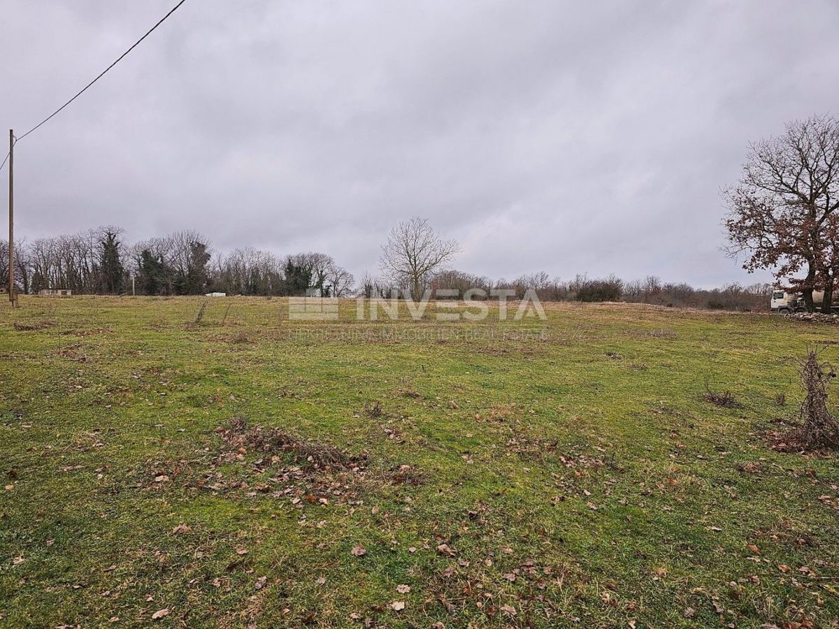 Žminj, zazidljiva parcela 6.186 m2, odlična lokacija