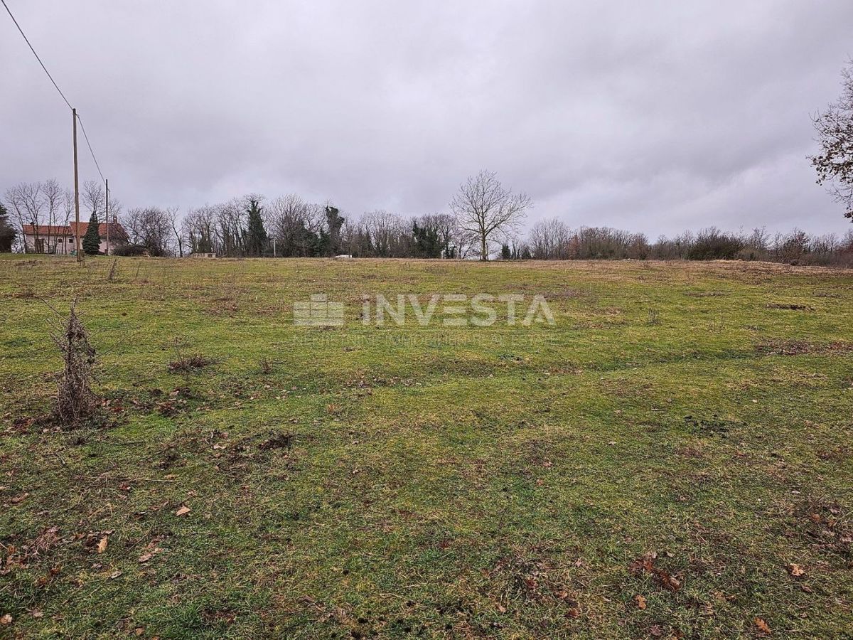 Žminj, zazidljiva parcela 6.186 m2, odlična lokacija