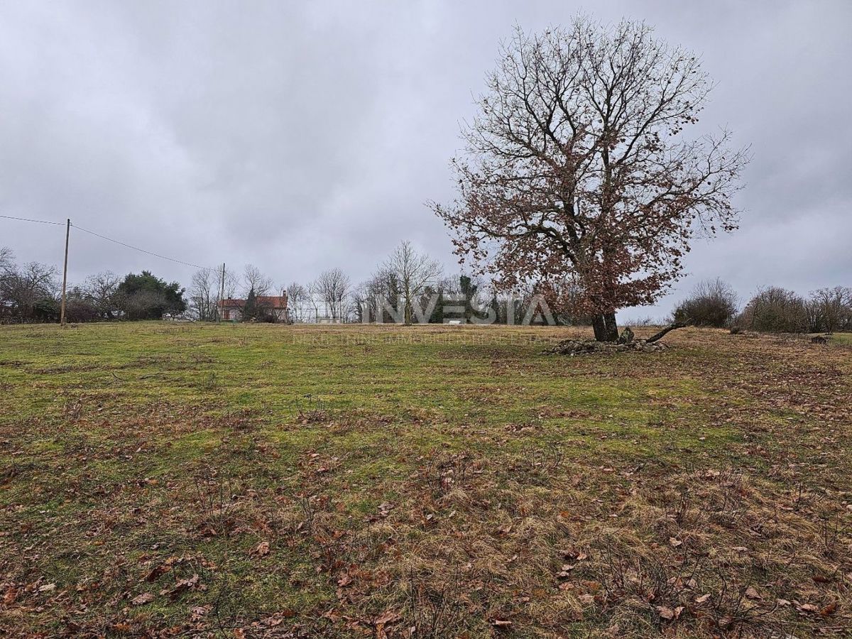 Žminj, zazidljiva parcela 6.186 m2, odlična lokacija