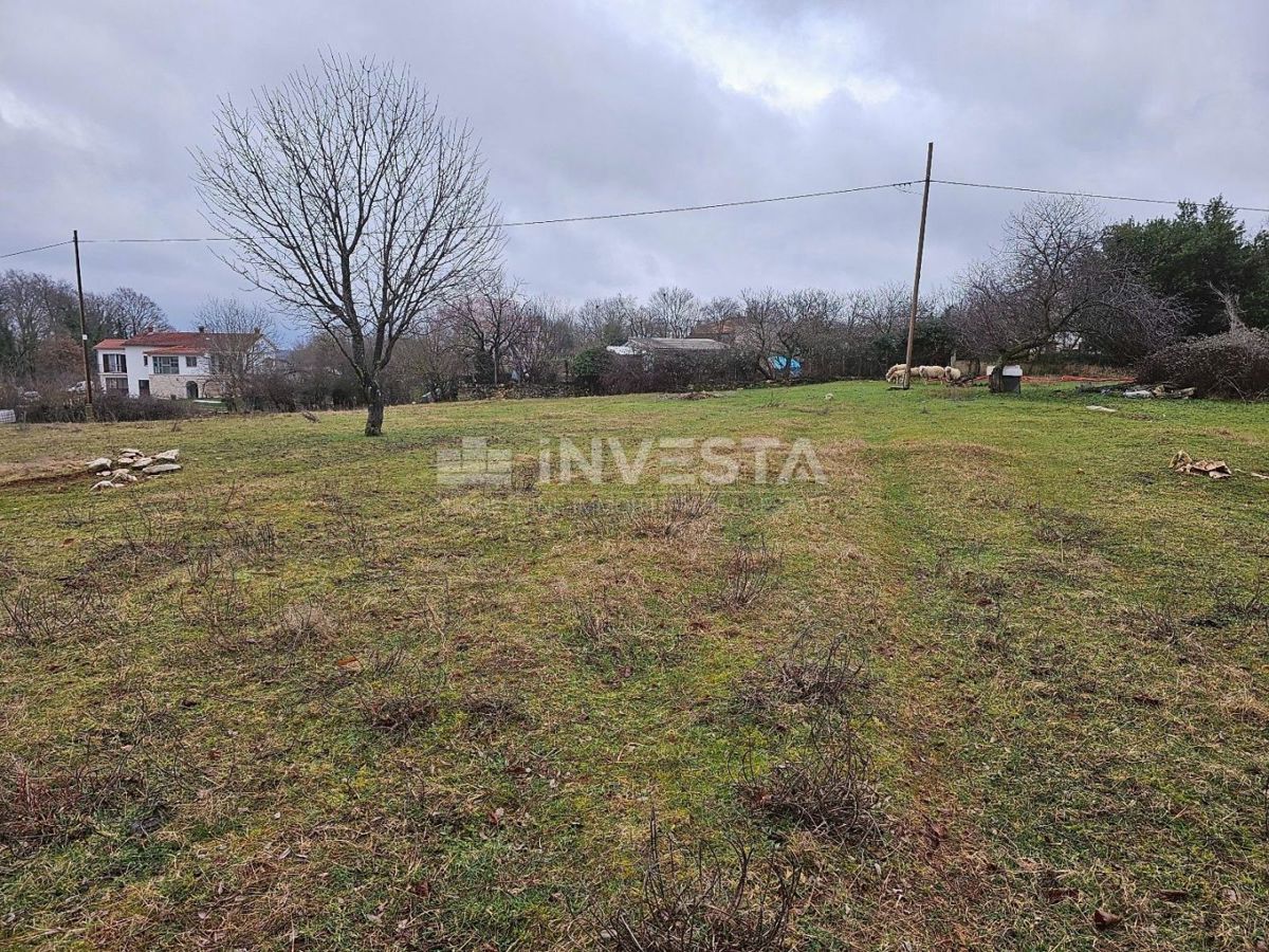 Žminj, zazidljiva parcela 6.186 m2, odlična lokacija