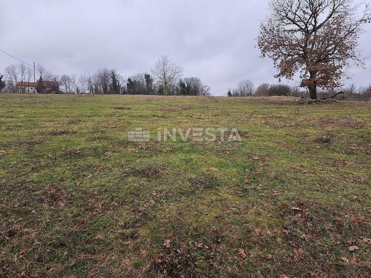 Žminj, zazidljiva parcela 6.186 m2, odlična lokacija