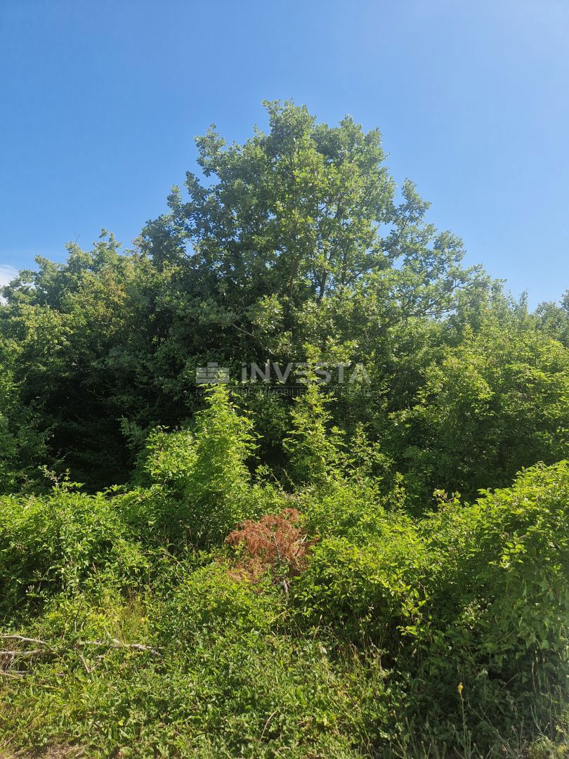 Kmetijska zemljišča, namen T, 1 km od morja