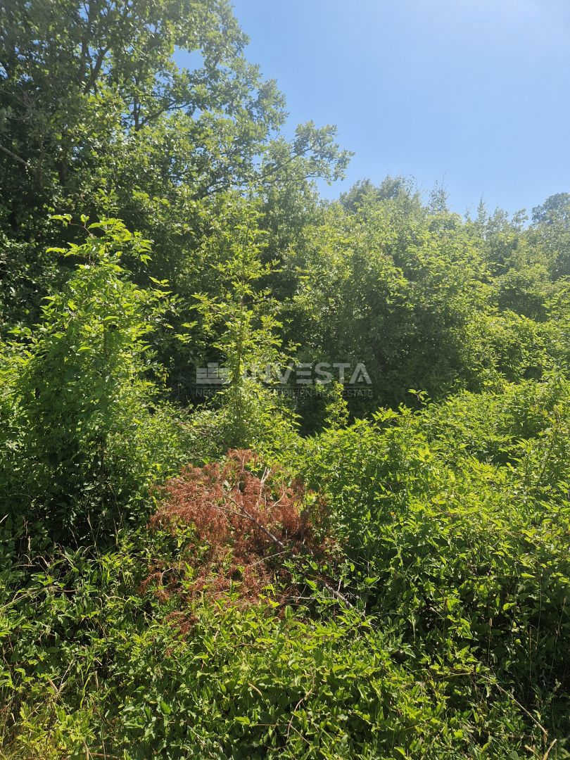 Kmetijska zemljišča, namen T, 1 km od morja