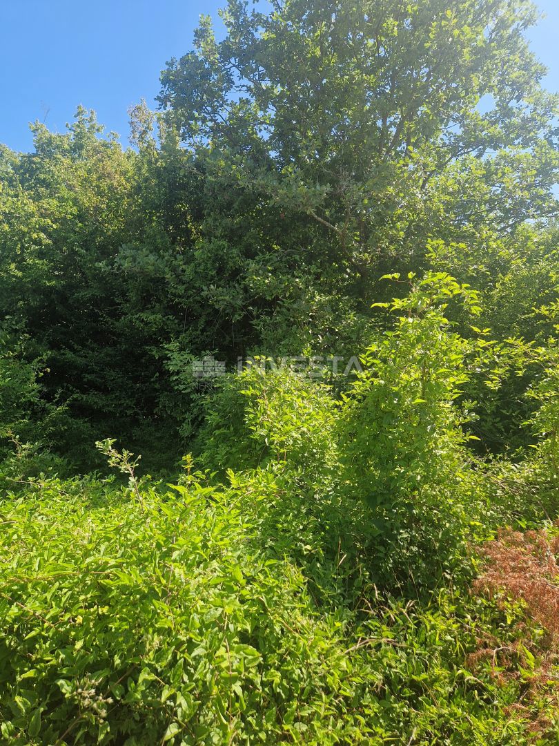 Kmetijska zemljišča, namen T, 1 km od morja
