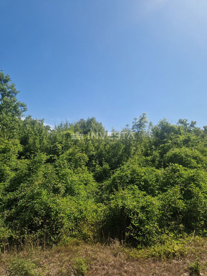 Kmetijska zemljišča, namen T, 1 km od morja