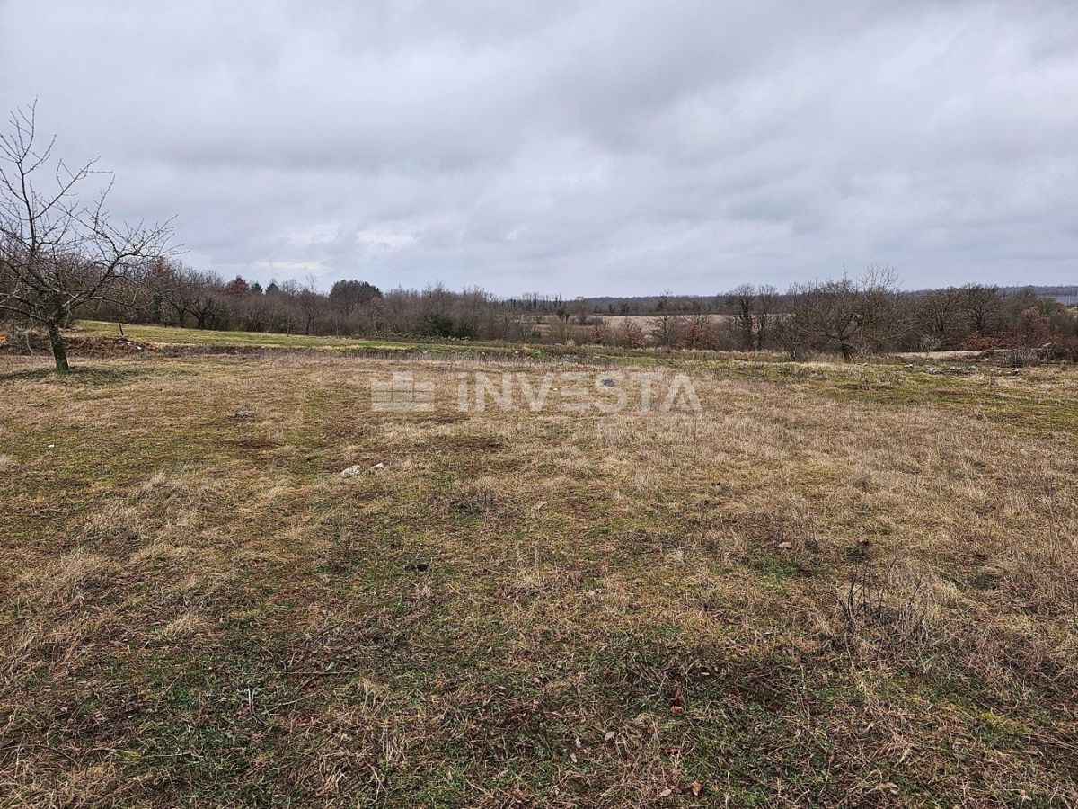 Žminj, gradbeno zemljišče 2905 m², blizu ceste