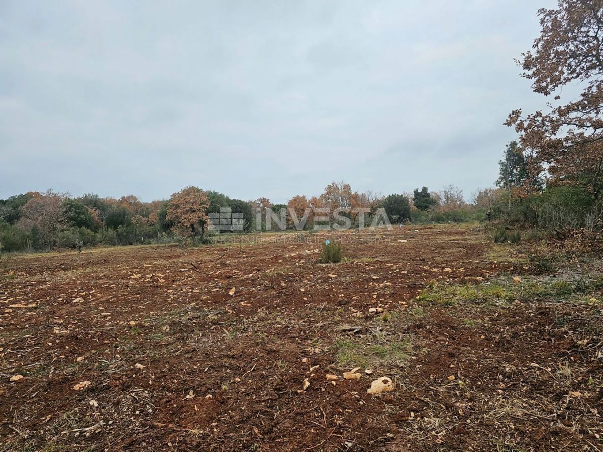 Več zemljišč v Peroju, 500 m od morja